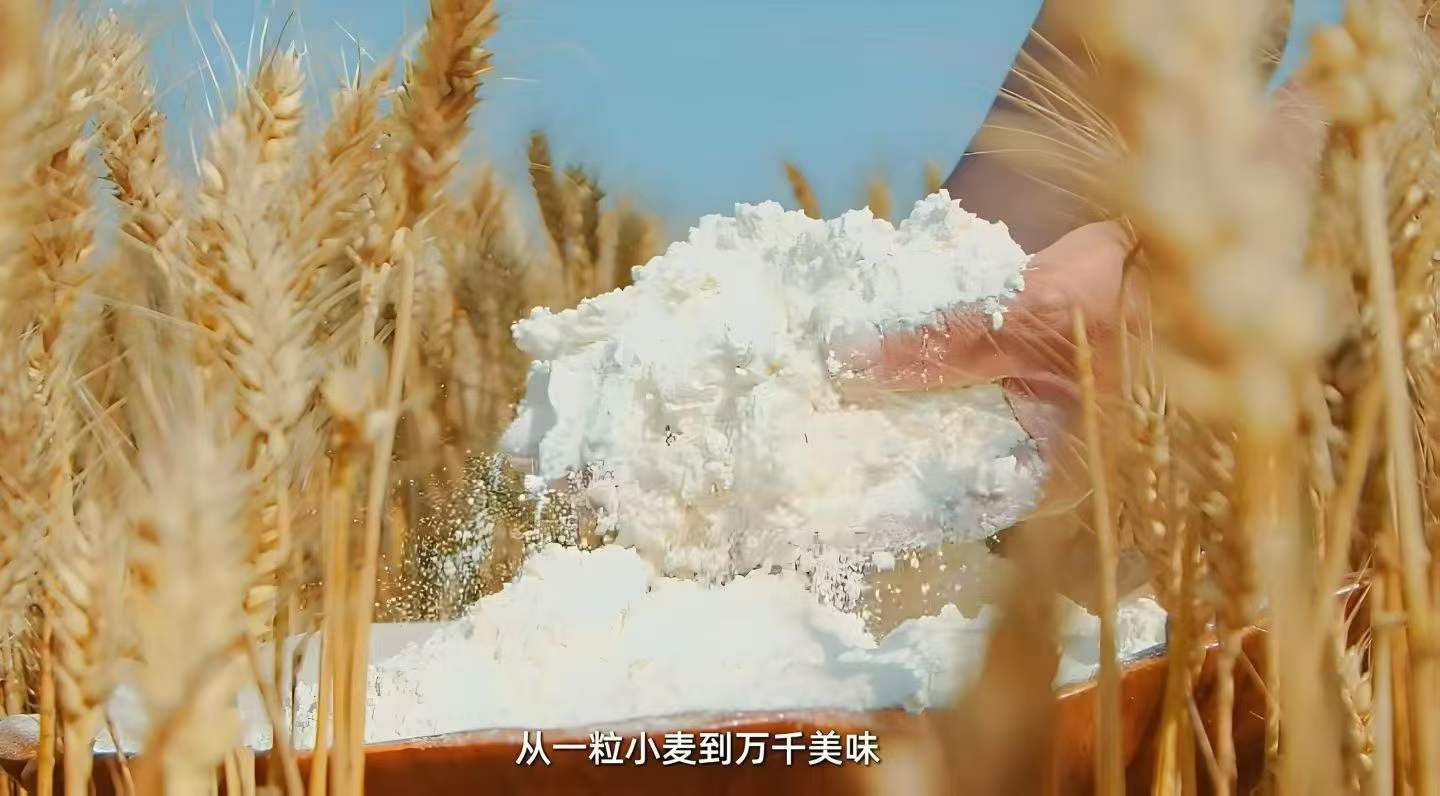 https://www.kaiserchinese.com//upload/article/202607/b9824a3d70ce2f54ee74e61578ed3136.jpg